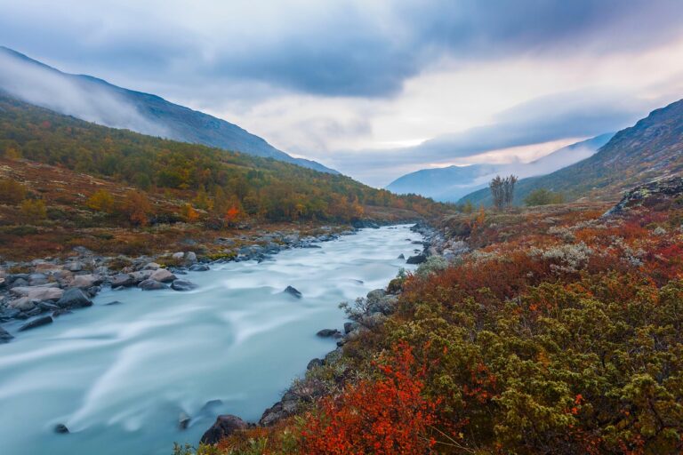 river, valley, mountains, stream, fall, autumn, fog, landscape, nature, scenic, jotunheimen national park, national park, scandinavia, galdhøpiggen, oppland, norway, europe, river, valley, stream, stream, autumn, norway, norway, norway, norway, norway